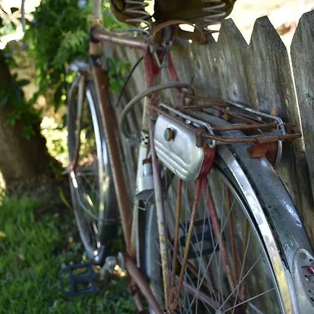 Affittacamere Studio Kostas