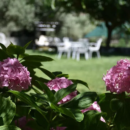 Konukevi Studio Kostas Asprogerakata